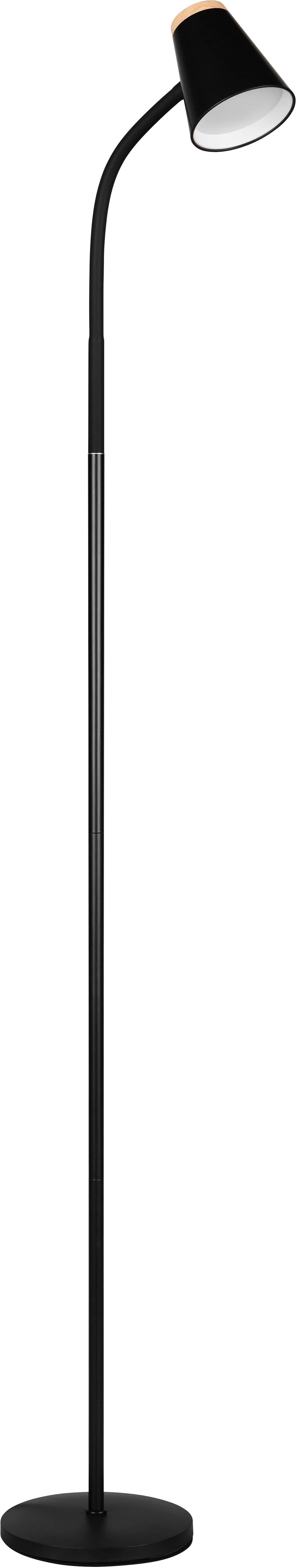 Reality Leuchten LED Stehlampe PONGO | Schwarz
