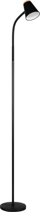 Reality Leuchten LED Stehlampe PONGO | Schwarz 2
