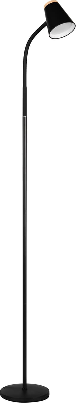 Reality Leuchten LED Stehlampe PONGO | Schwarz