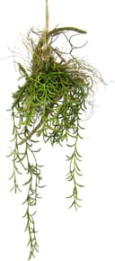 Kunstpflanze Tillandsia | Grün