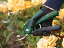 Bosch Home & Garden Akku-Astschere EasyPrune | Grün