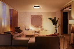 Philips Hue Enrave Deckenleuchte L | Schwarz