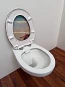 welltime WC-Sitz Classic Decor | Mehrfarbig 5