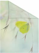 LICHTBLICK ORIGINAL Fensterfolie Schmetterling Grün | Grün