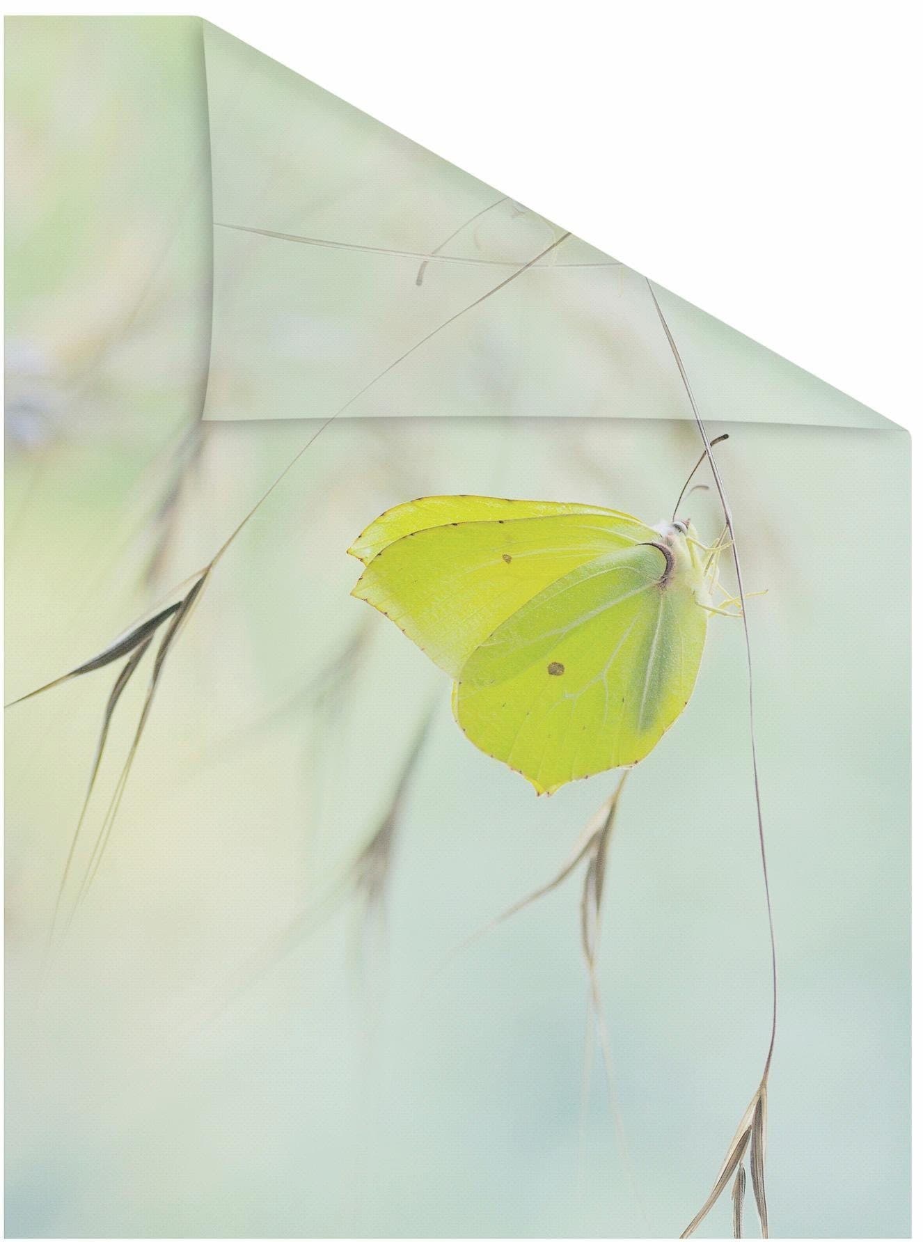 LICHTBLICK ORIGINAL Fensterfolie Schmetterling Grün | Grün