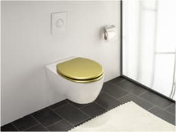 WENKO WC-Sitz Aldeno | Gold