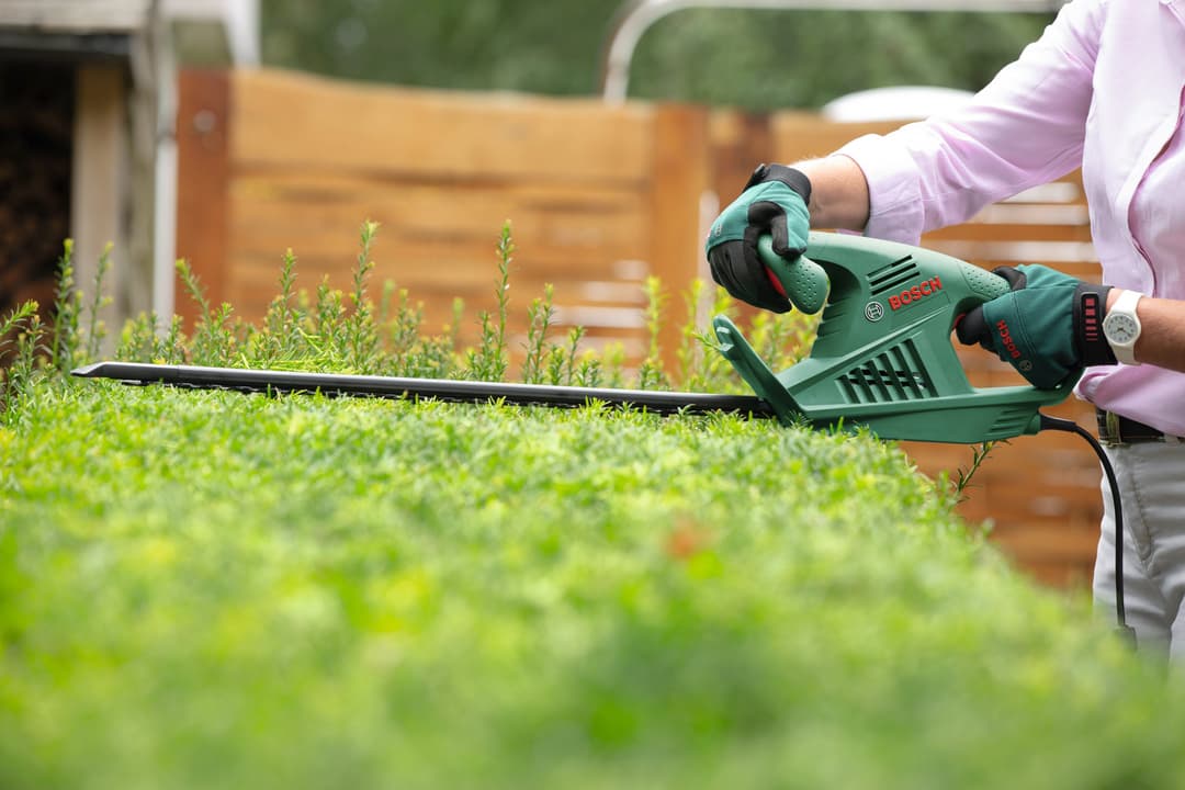 Bosch Home & Garden Elektro-Heckenschere EasyHedgeCut55 | Grün