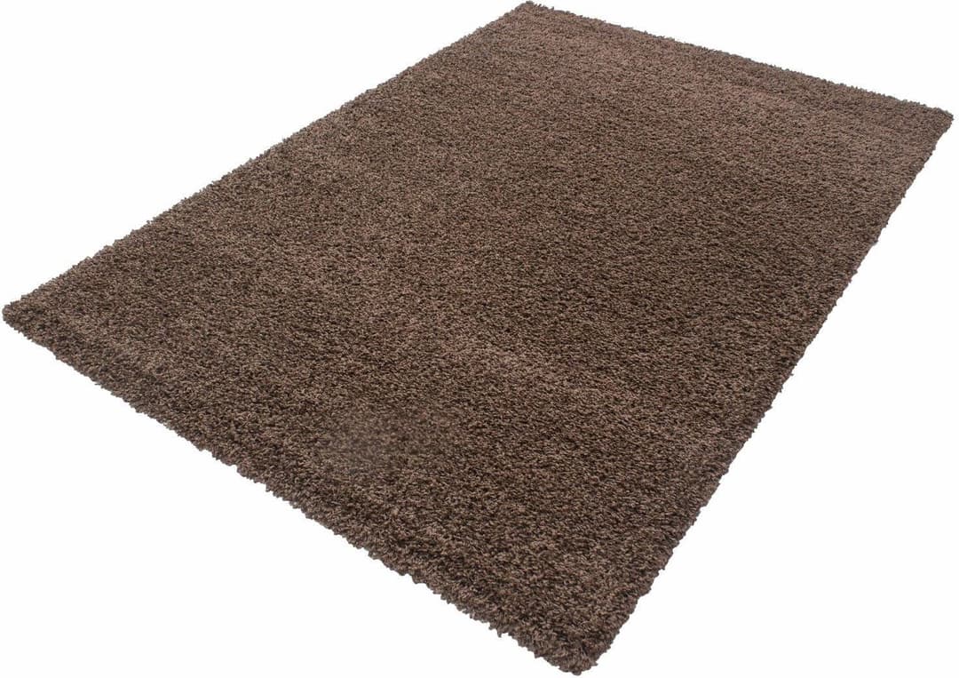 Ayyildiz Teppiche Hochflor-Teppich Life Shaggy 1500 | Braun