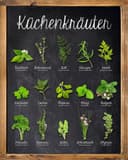Home affaire Deco-Panel Küchenkräuter | Grün