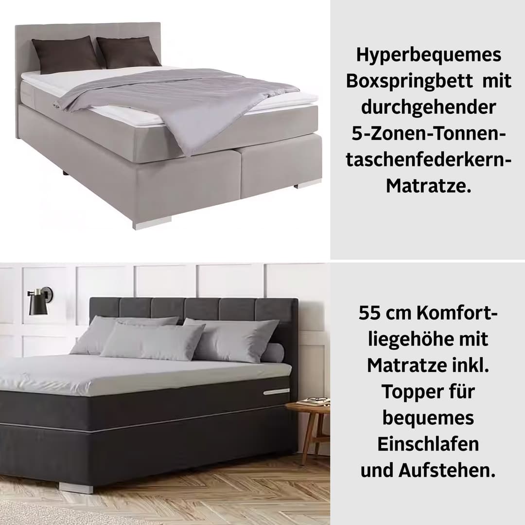 COTTA Boxspringbett Simba | Grau