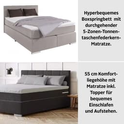 COTTA Boxspringbett Simba | Grau