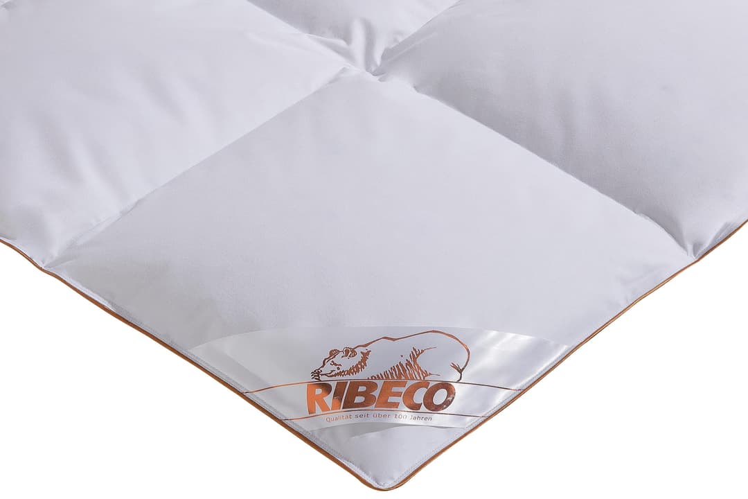 RIBECO Daunenbettdecke Ella | Weiß