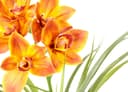 Kunstblume Orchidee | Orange 2