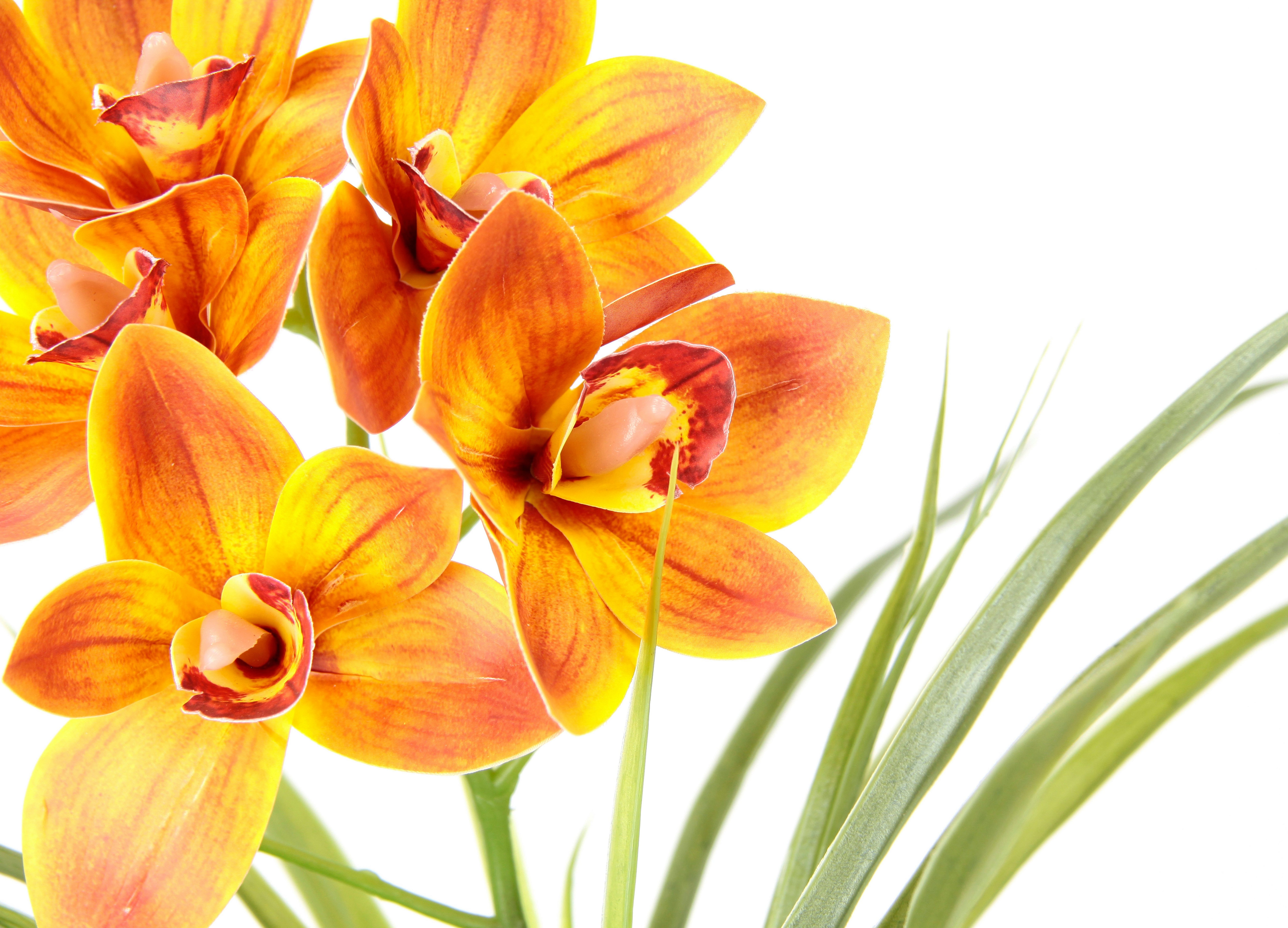 Kunstblume Orchidee | Orange