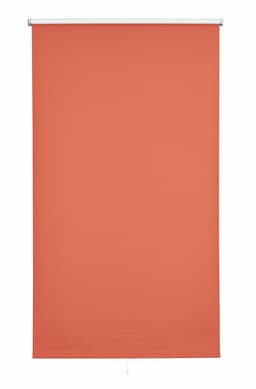 Springrollo Uni | Terrakotta