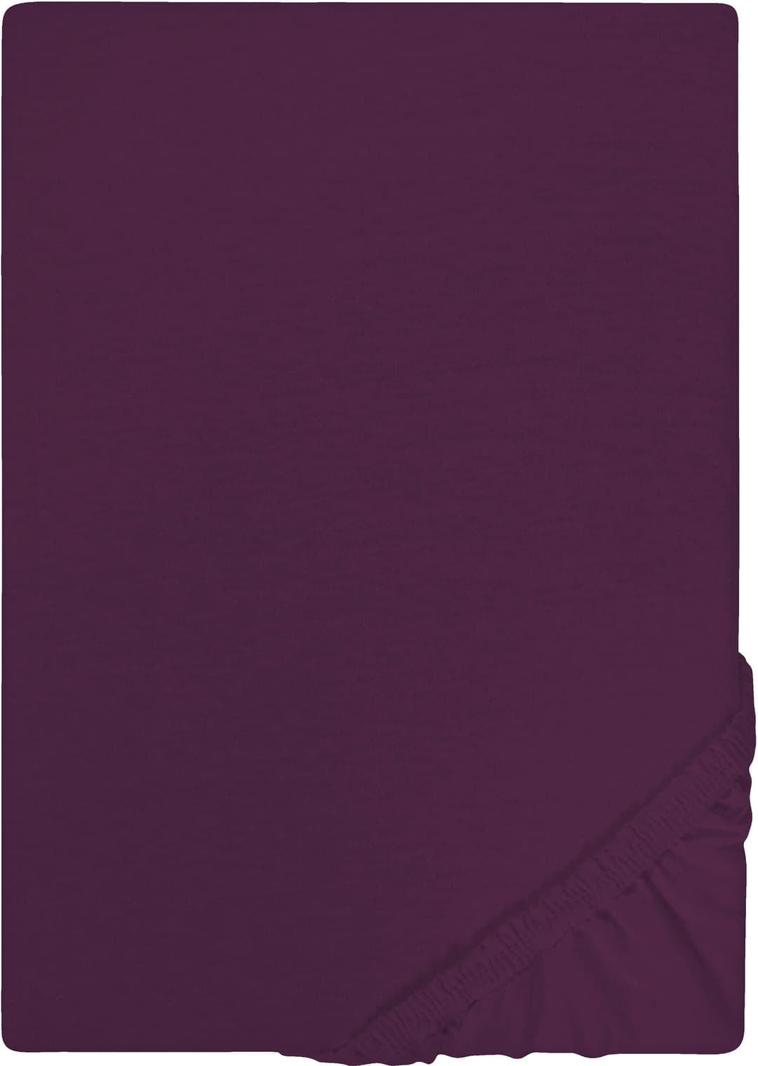 Castell Jersey Spannbettlaken | Lila
