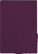 Castell Jersey Spannbettlaken | Lila 2