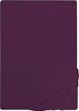 Castell Jersey Spannbettlaken | Lila