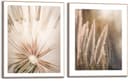 Reinders! Wandbild Natur Botanisch | Beige 2