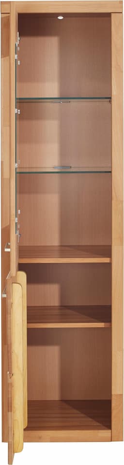 Vitrine LOGO | Holztöne