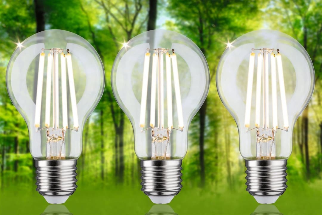 Paulmann LED-Leuchtmittel Eco-Line | Transparent