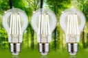 Paulmann LED-Leuchtmittel Eco-Line | Transparent 3