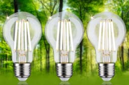 Paulmann LED-Leuchtmittel Eco-Line | Transparent