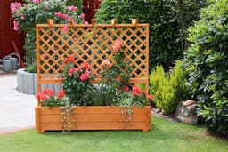 promadino Spalier Pergola mit Pflanzkasten | Braun