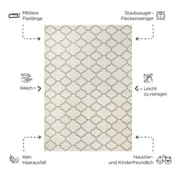 Sanat Teppich Boho 8202 | Beige