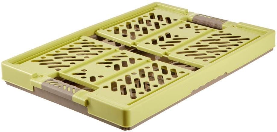 Keeeper Klappbox ben | Grün
