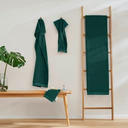 s.Oliver Handtuch Set | Grün