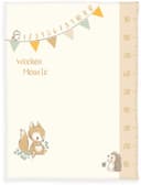Baby Best Babydecke | Mehrfarbig 2