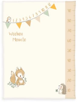 Baby Best Babydecke | Mehrfarbig
