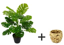 Kunstpflanze Monstera | Grün