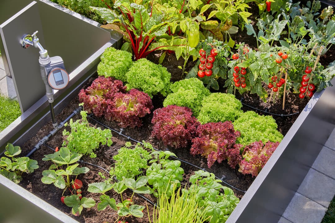 GARDENA Bewässerungssystem Tropfbewässerung Set | Schwarz