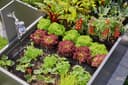 GARDENA Bewässerungssystem Tropfbewässerung Set | Schwarz 5