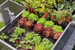 GARDENA Bewässerungssystem Tropfbewässerung Set | Schwarz