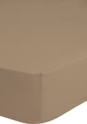 good morning Spannbettlaken Jersey | Beige