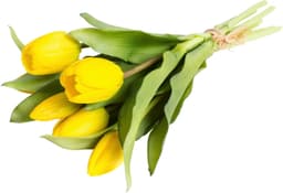 Kunstblume Willa Tulpe | Gelb