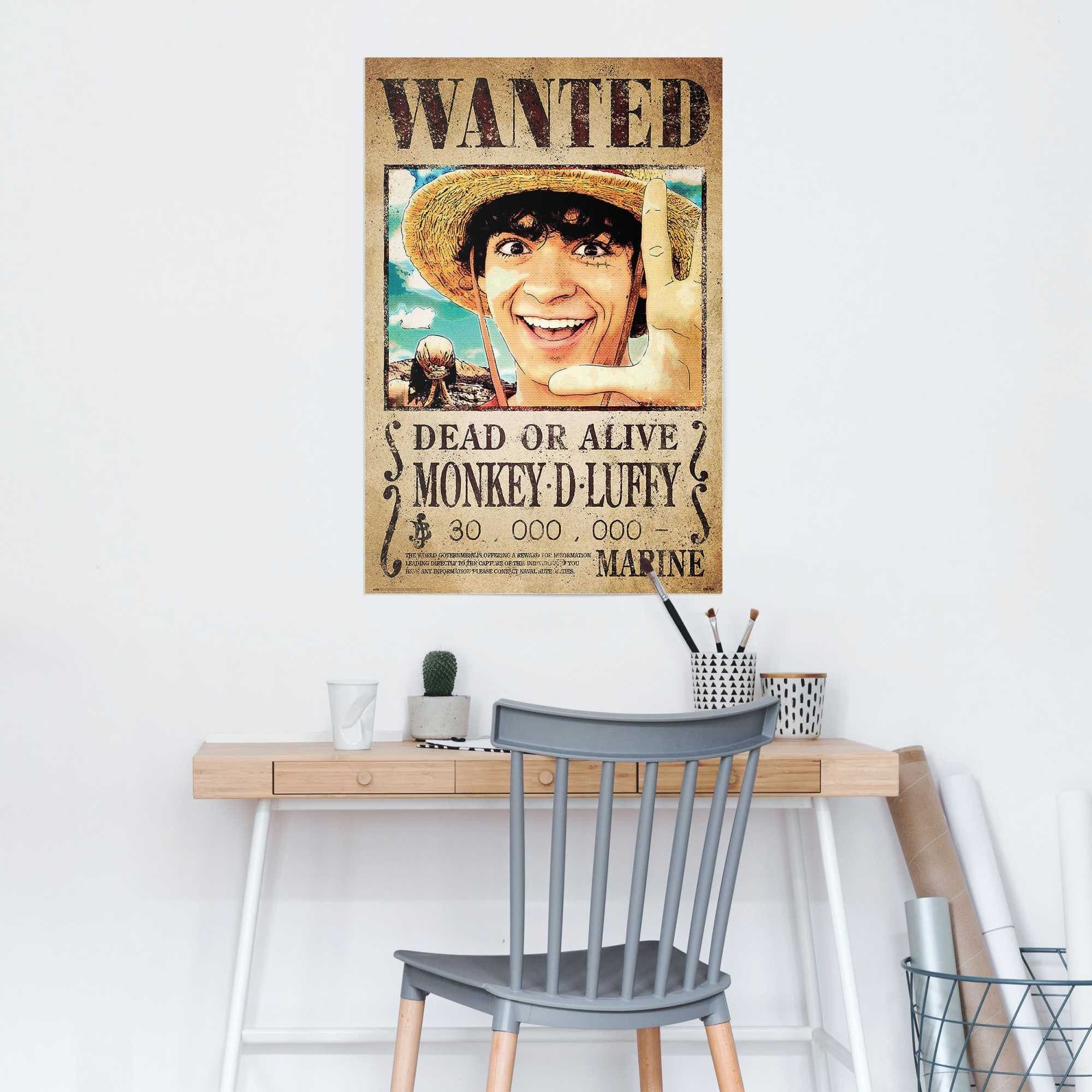 Reinders! Poster One Piece - wanted monkey d. Luffy | Braun
