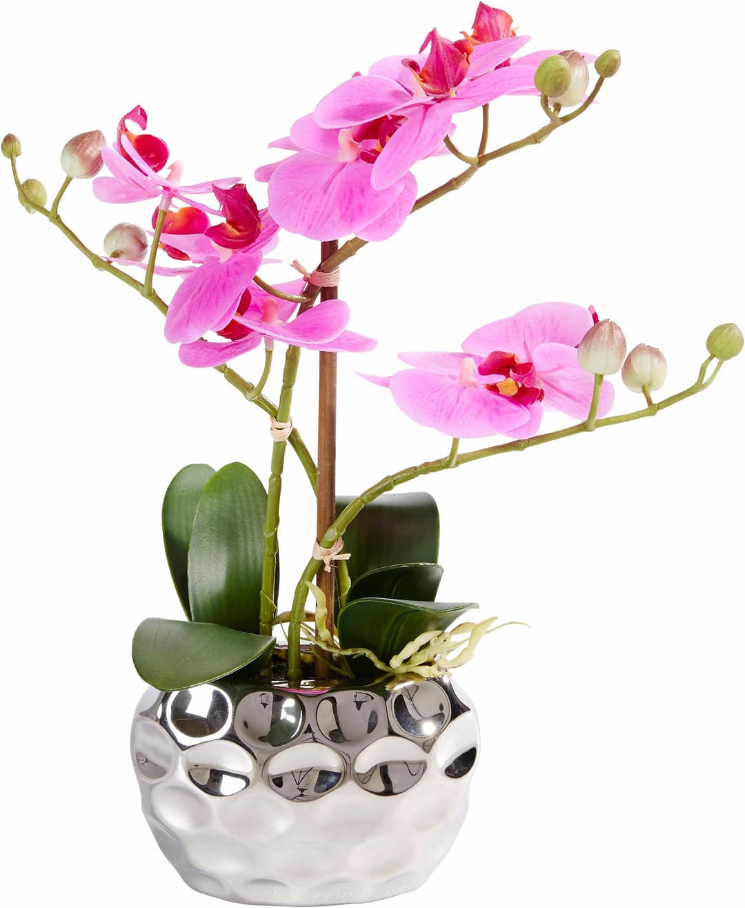 Kunstpflanze Orchidee von OTTO home | Mehrfarbig