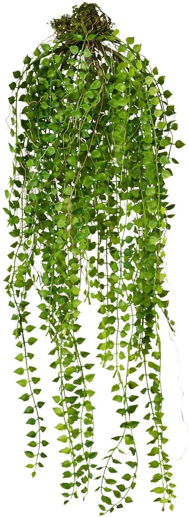 Kunstranke, Creativ green, Höhe 70 cm | Grün