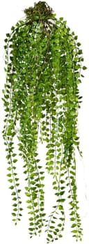 Kunstranke, Creativ green, Höhe 70 cm | Grün 2