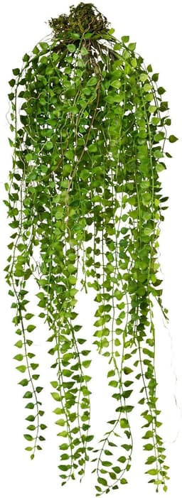 Kunstranke, Creativ green, Höhe 70 cm | Grün