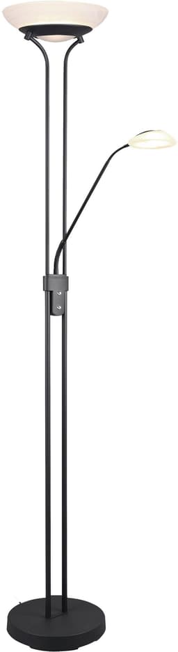 Reality Leuchten Orson LED Stehlampe | Schwarz