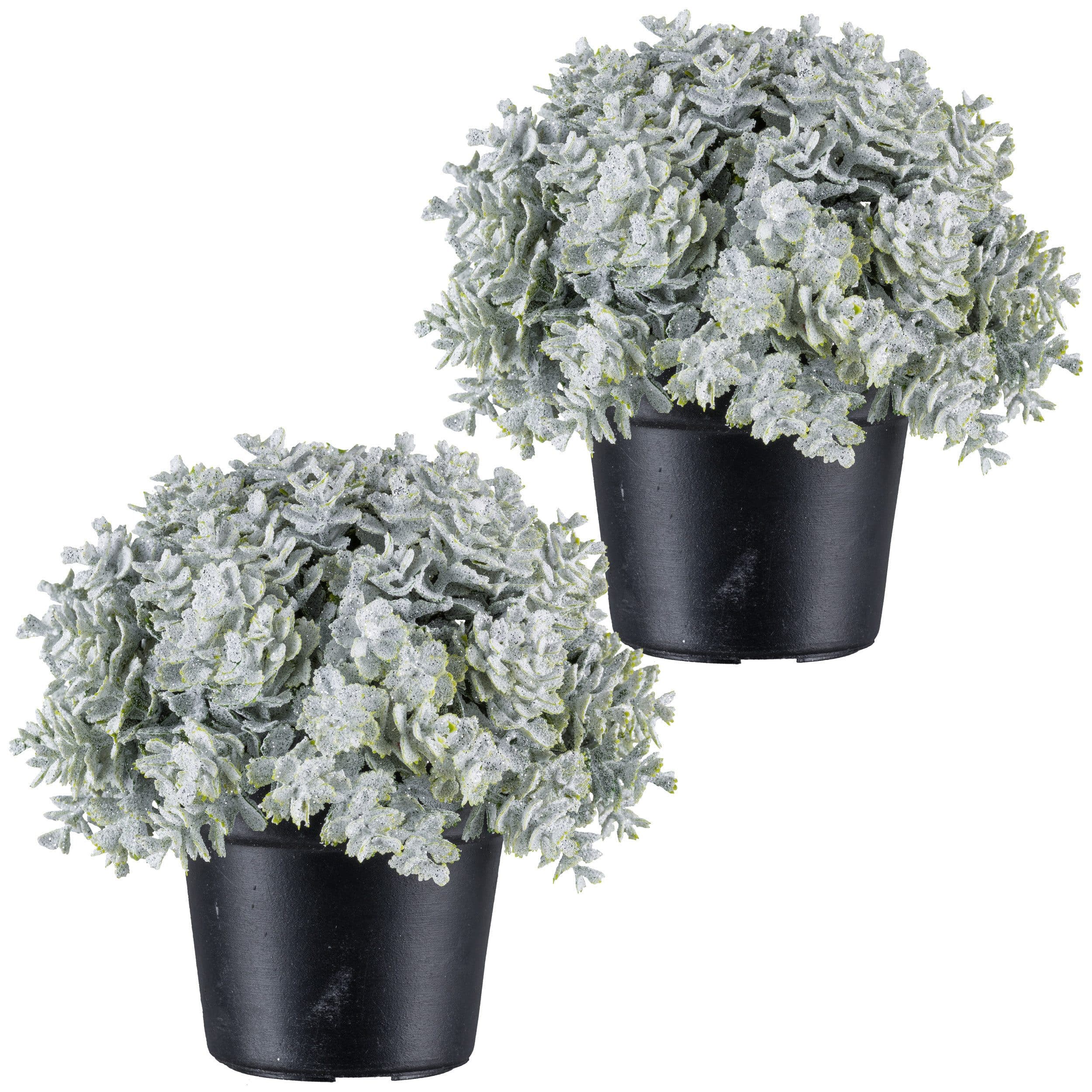 Kunstpflanze Eukalyptus | Weiß