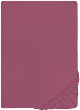 Castell Spannbettlaken Jersey | Lila