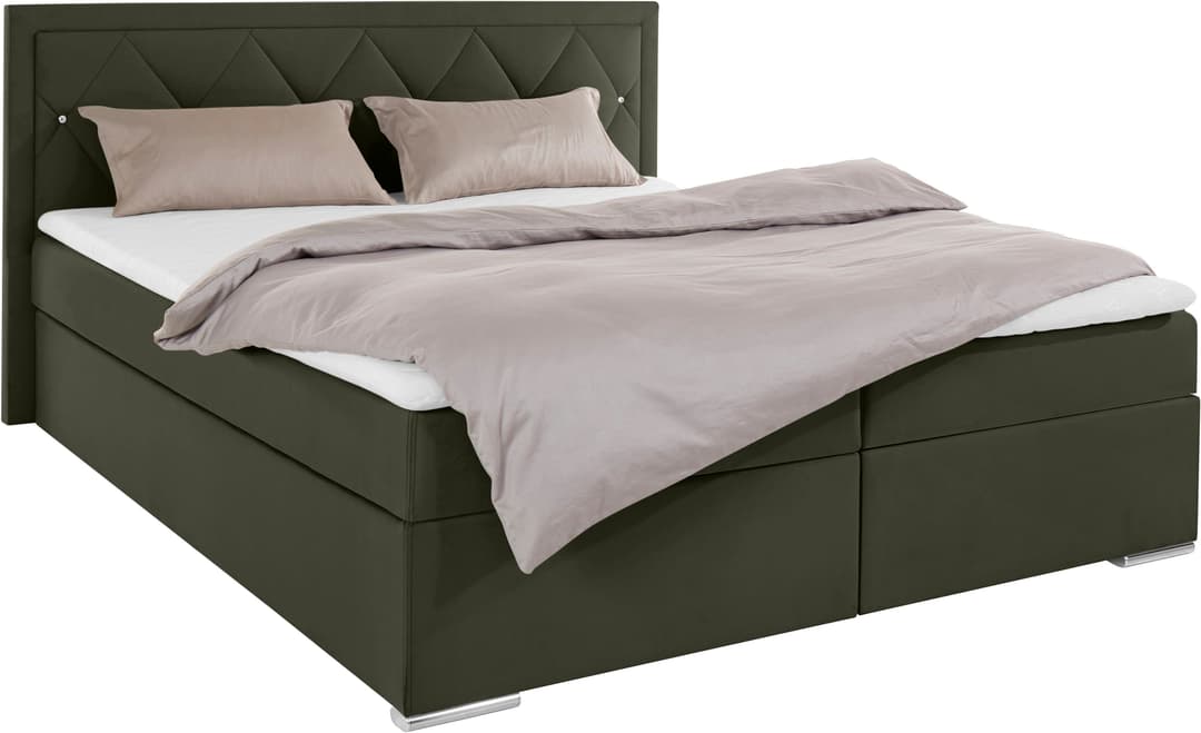 Home affaire Boxbett Alfie | Grün