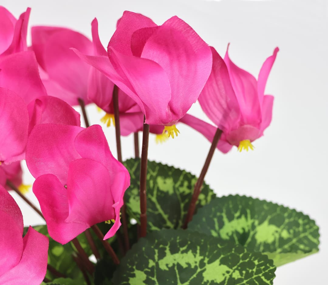 Kunstblume Alpenveilchen im Topf | Rosa
