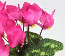 Kunstblume Alpenveilchen im Topf | Rosa